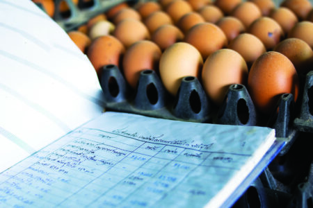 Learning from Farm Failures Image